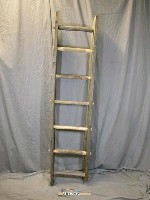 藏品(旱地木筏)的圖片